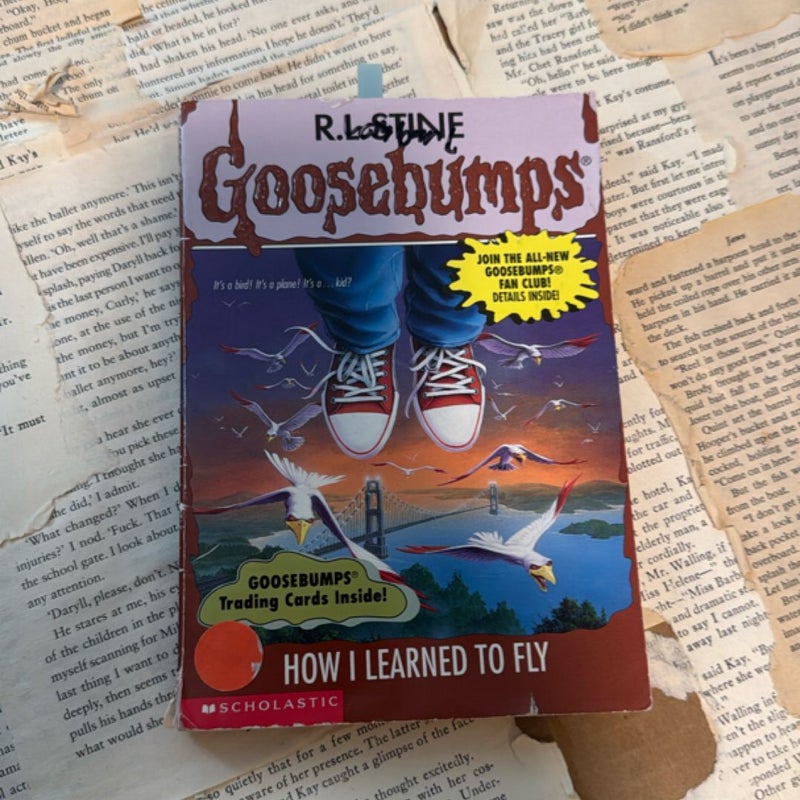 How I Learned to Fly