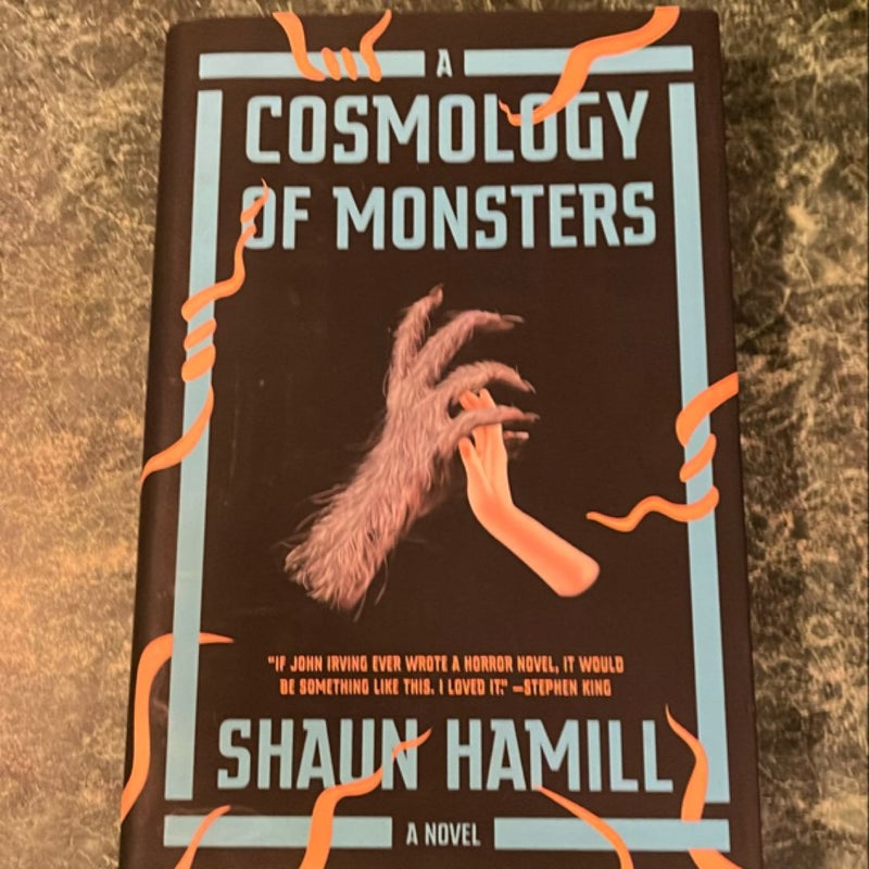 A Cosmology of Monsters