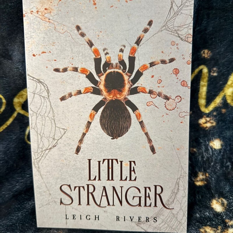 Little Stranger