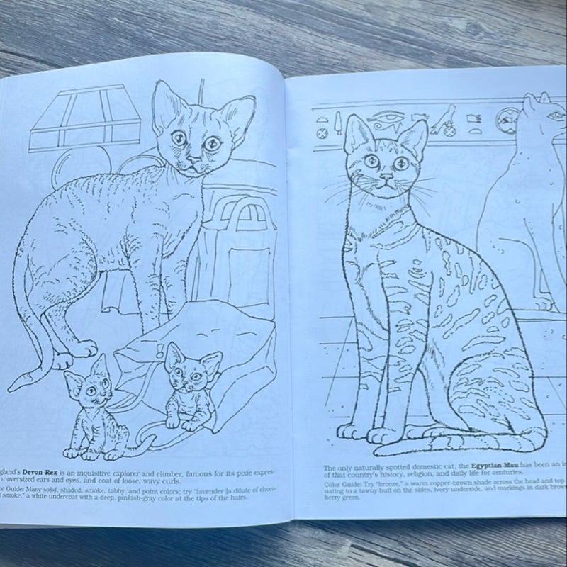 Color Your Own Cats and Kittens