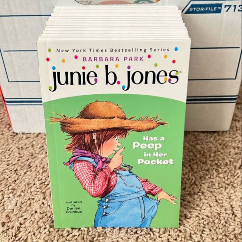 Junie B Jones 15-28 collection 