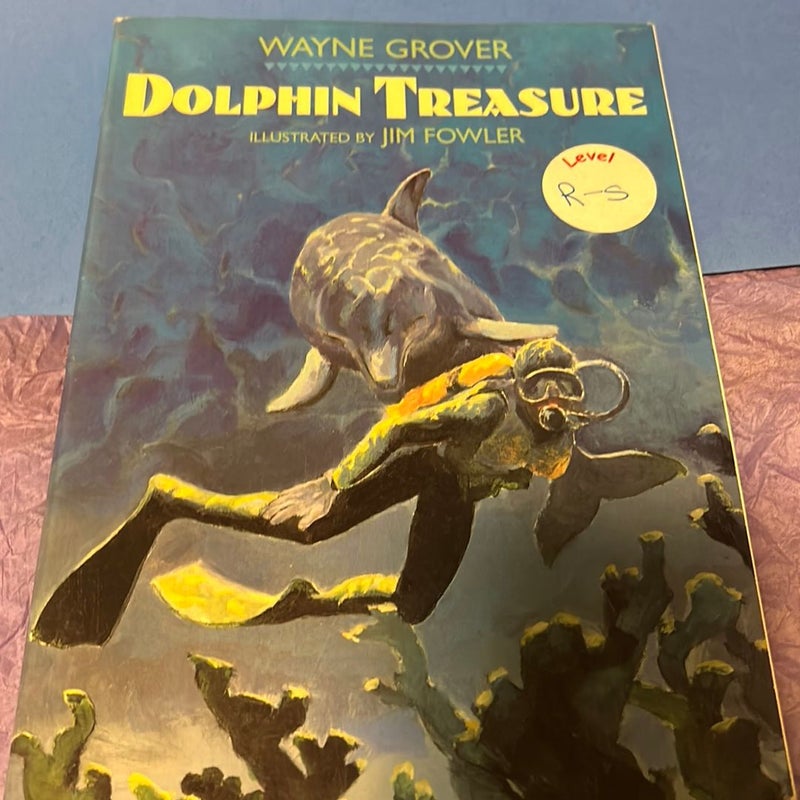 Dolphin Treasure 