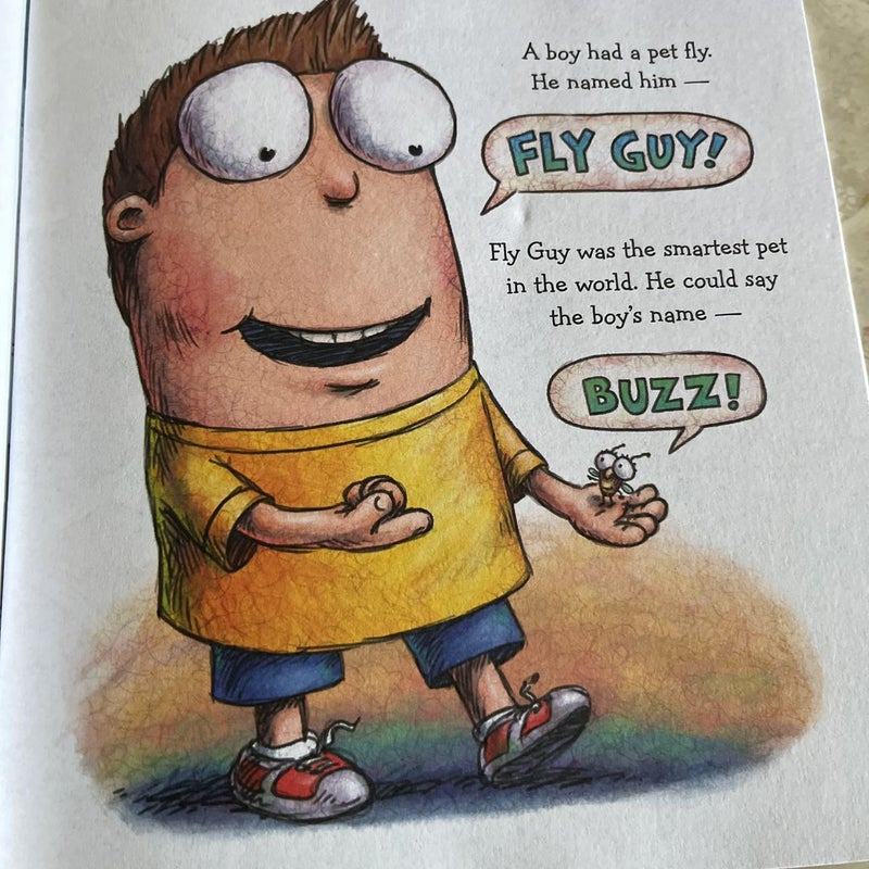 A Pet for Fly Guy 
