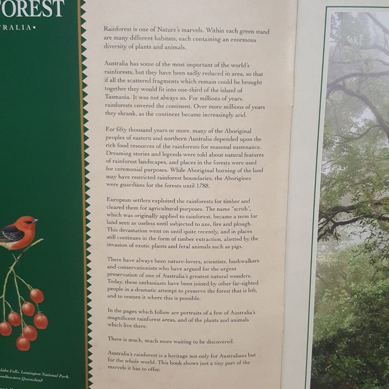 A Souvenir of Australia's Rainforest by Pat Slater; Steve Parish ...