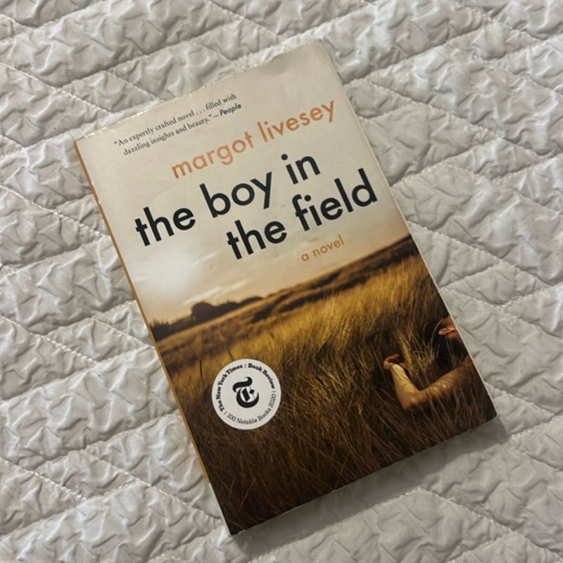 The Boy in the Field
