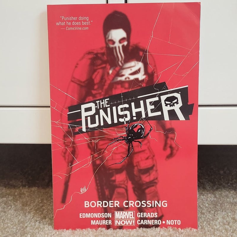 The Punisher Volume 2