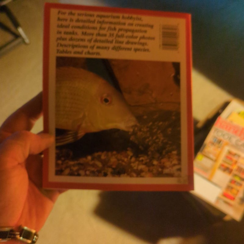 Aquarium Fish Breeding