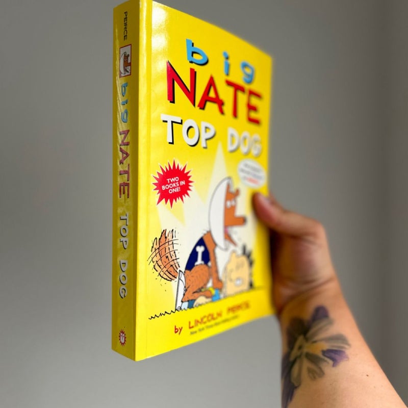 Big Nate: Top Dog