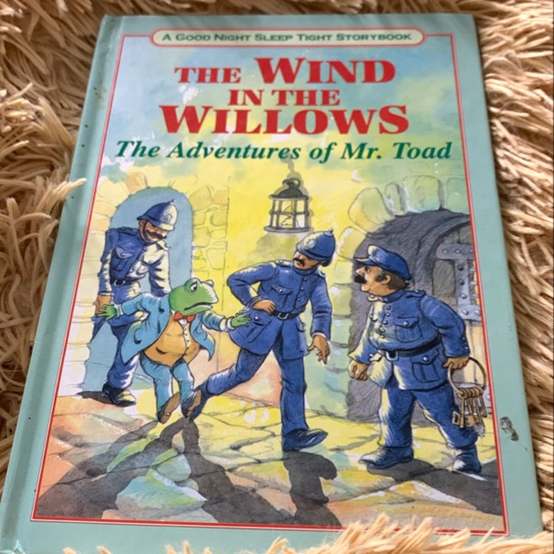 Wind in the Willows (the River Bank / the Wild Wood / the Adventures of Mr