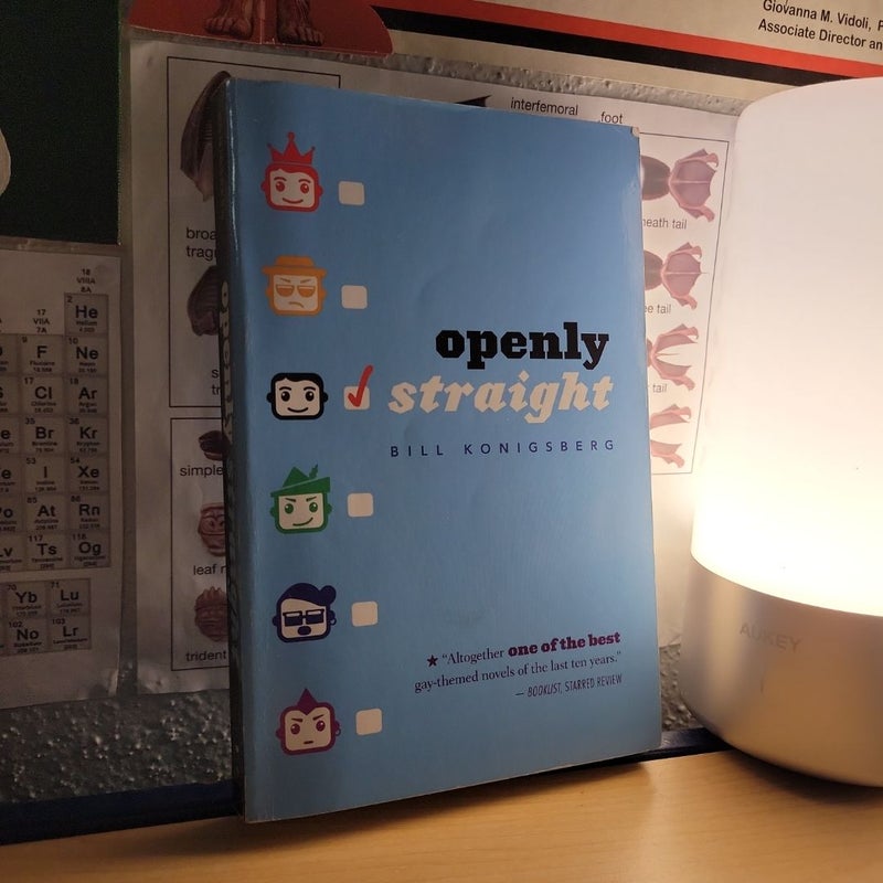 Openly Straight