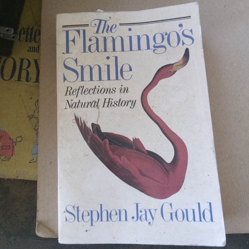 The Flamingo's Smile