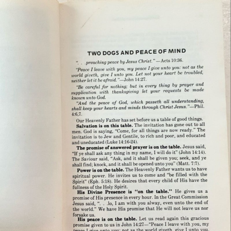 Two Dogs and Peace of Mind 