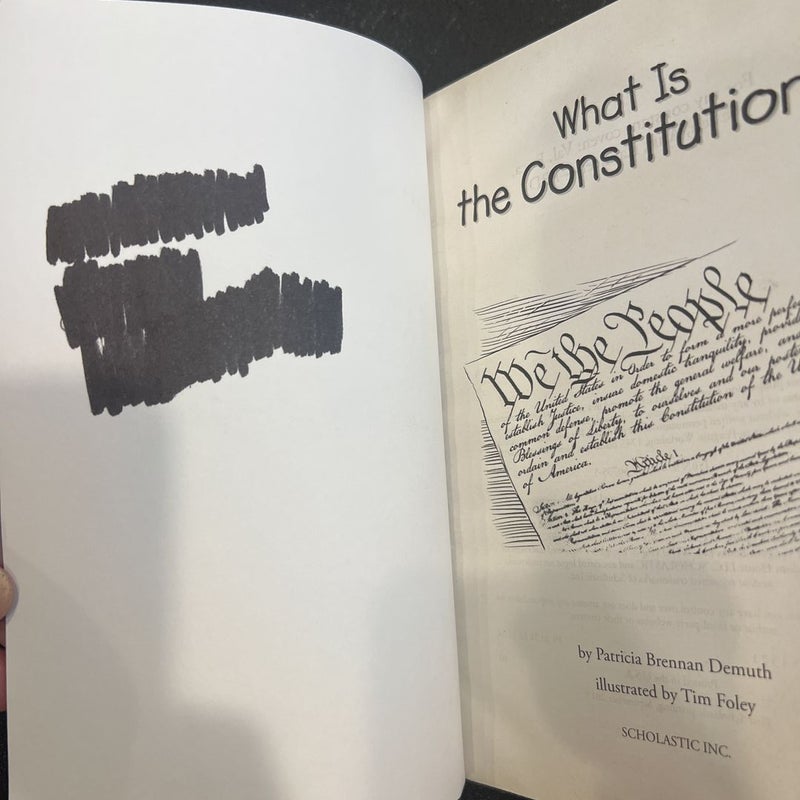 What Is the Constitution? 