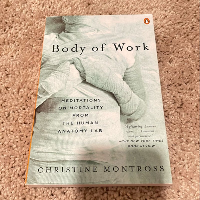 Body of Work