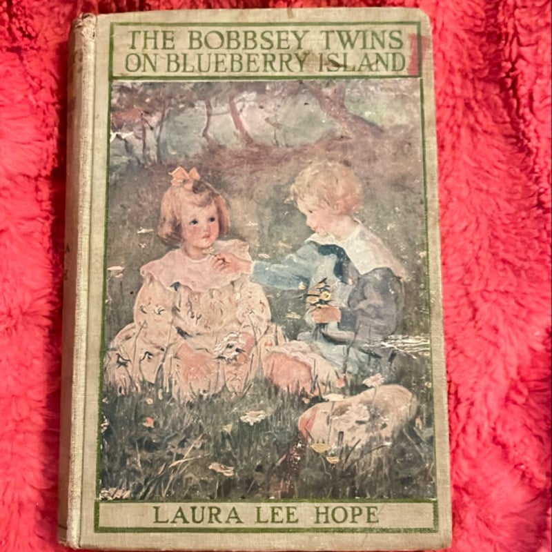 The Bobbsey Twins on Blueberry Island