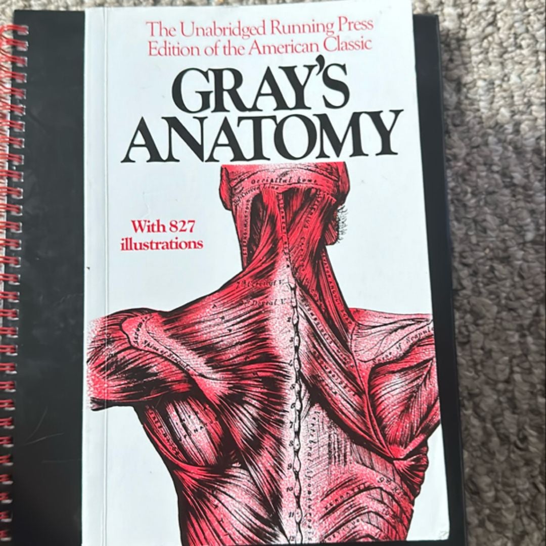 Gray's Anatomy