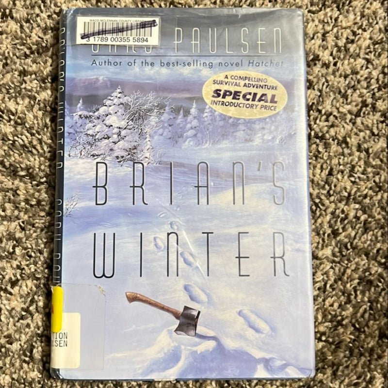 Brian's Winter