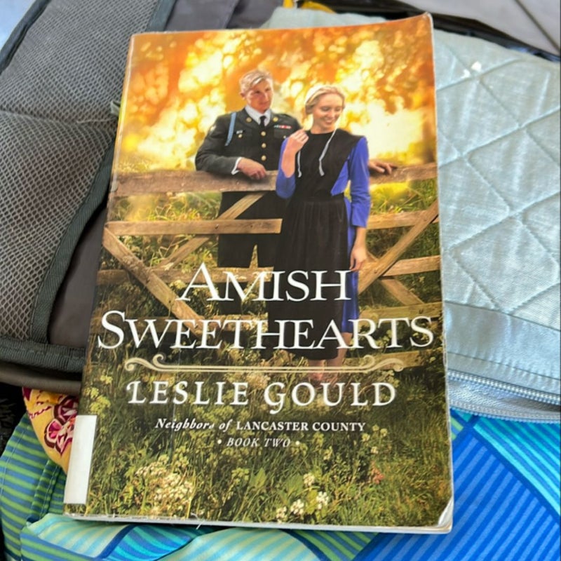 Amish Promises