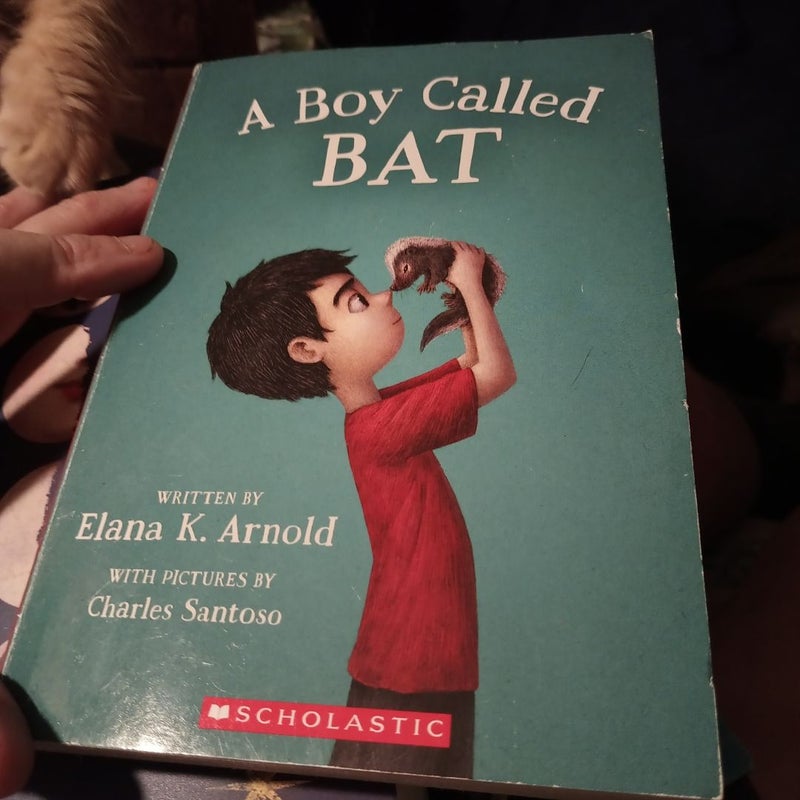 a boy called bat