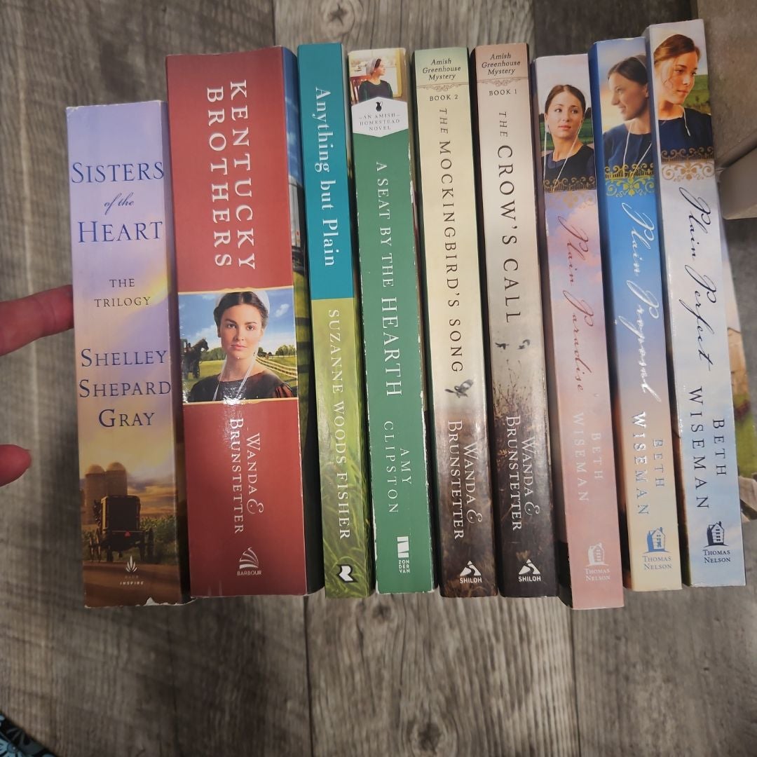 Amish fiction bundle