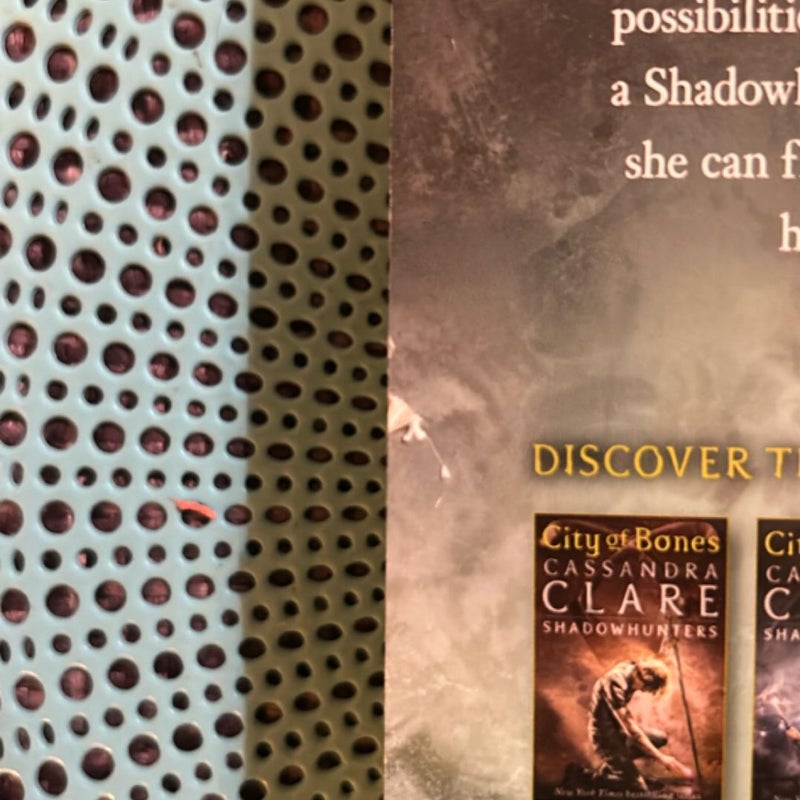 City of Fallen Angels