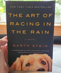 The Art of Racing in the Rain