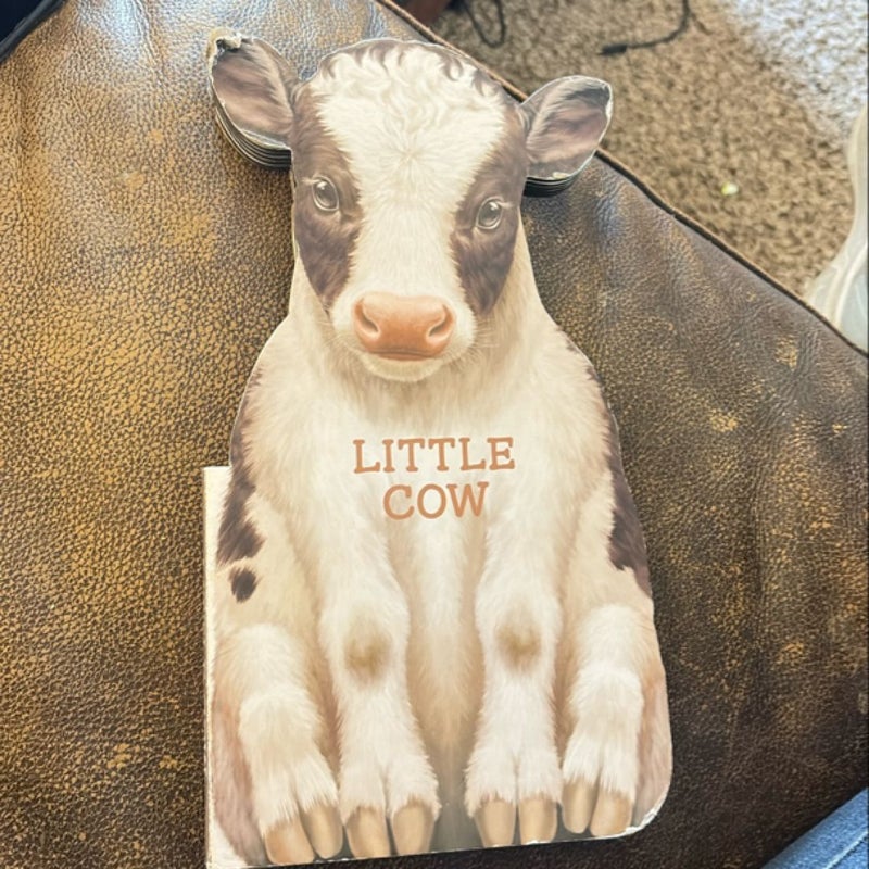 Little Cow