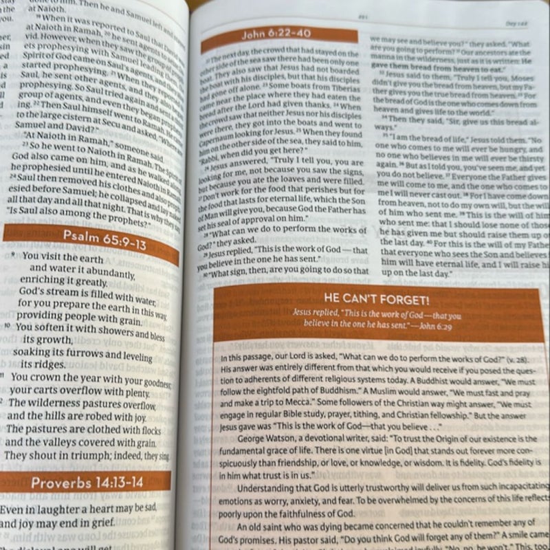 CSB Every Day with Jesus Daily Bible, Brown LeatherTouch