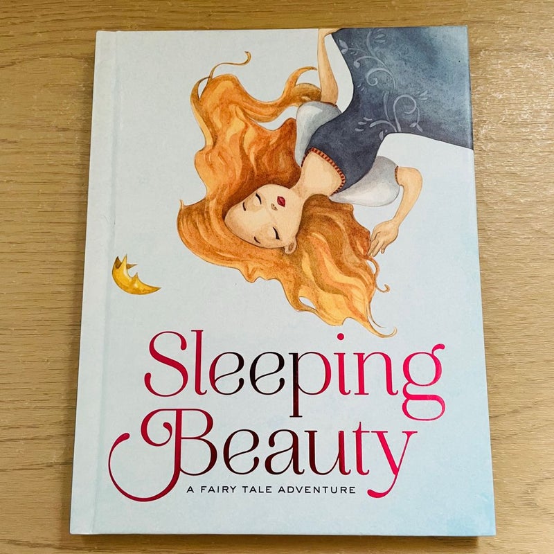 A Fairy Tale Adventure Bundle-Lot of 2; Rapunzel, Sleeping Beauty