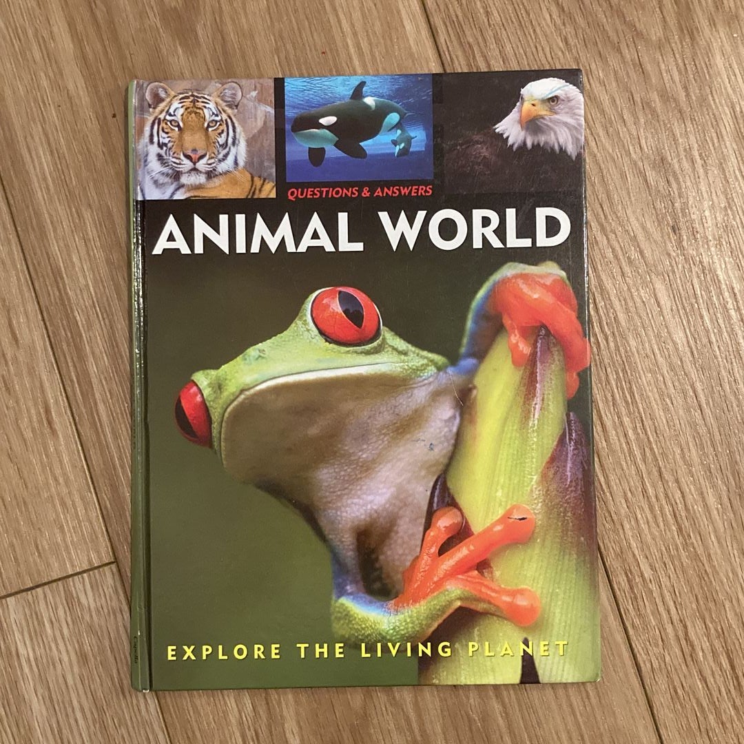 Animal World