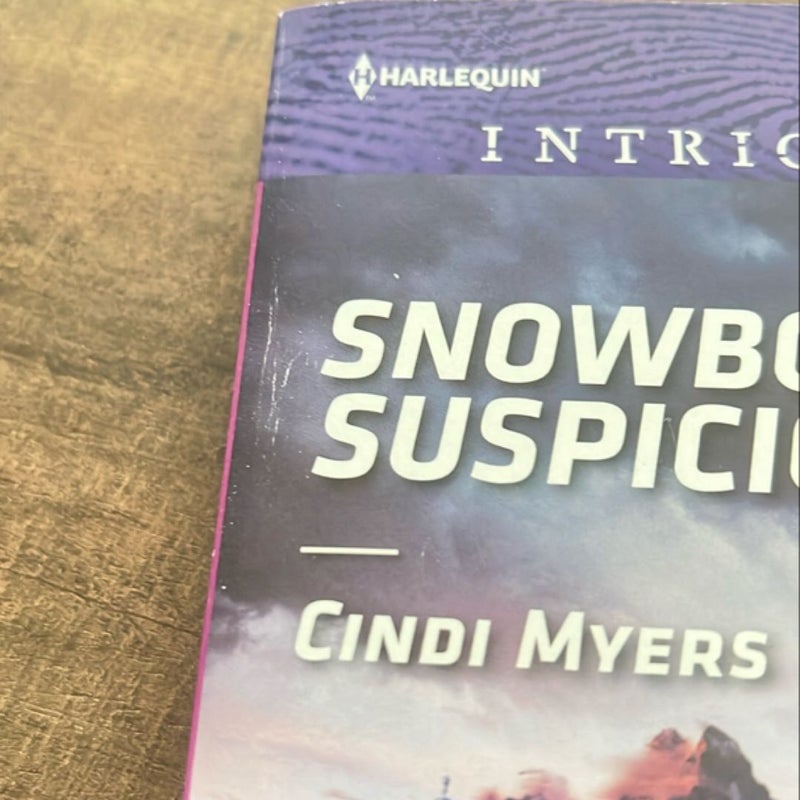 Snowbound Suspicion