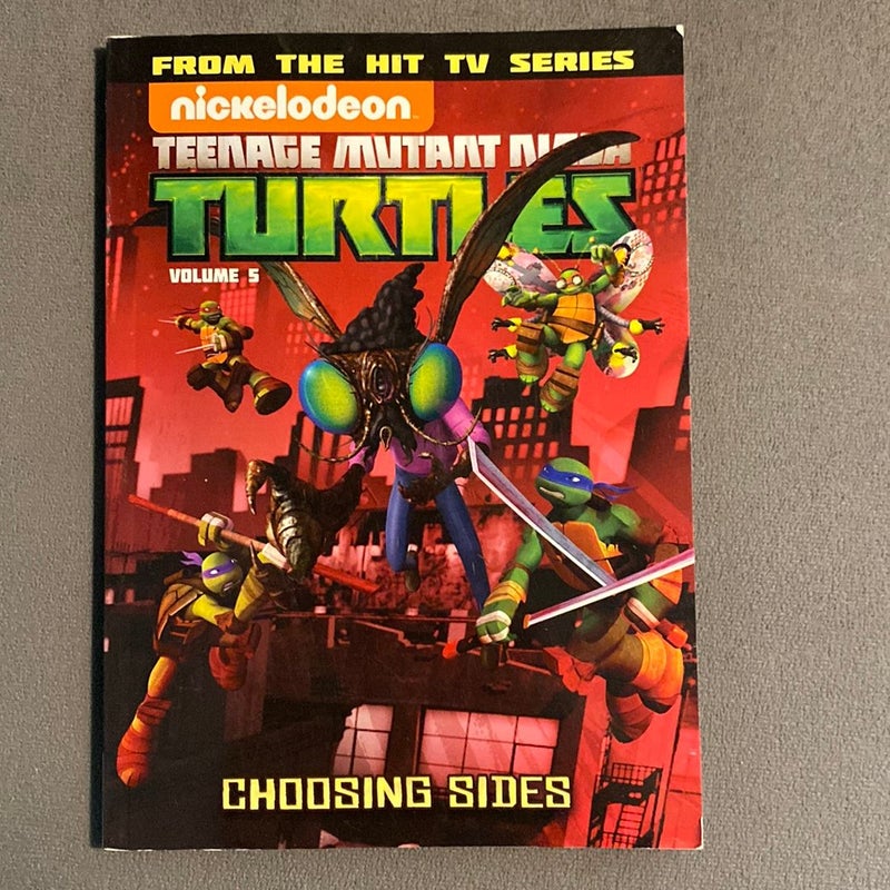 Teenage Mutant Ninja Turtles Animated Volume 5: Choosing Sides