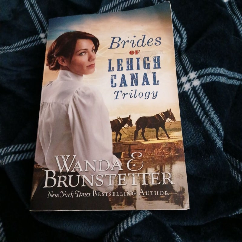 Brides of Lehigh Canal Trilogy