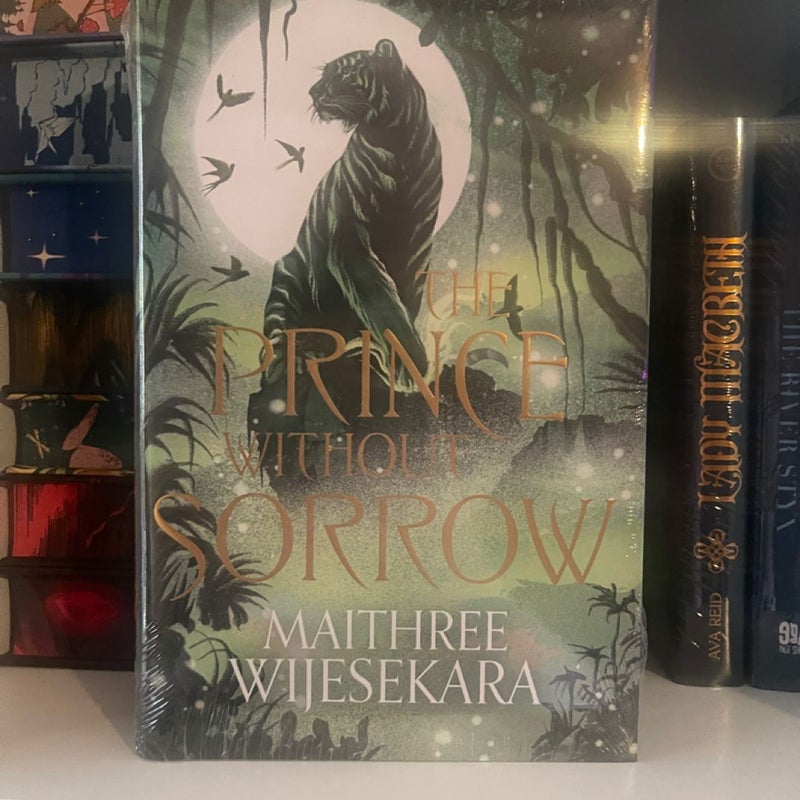The Prince Without Sorrow