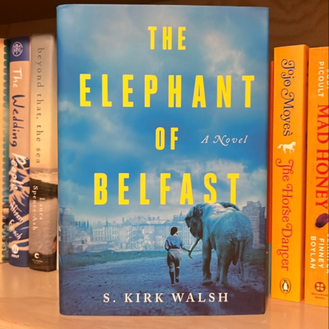 The Elephant of Belfast