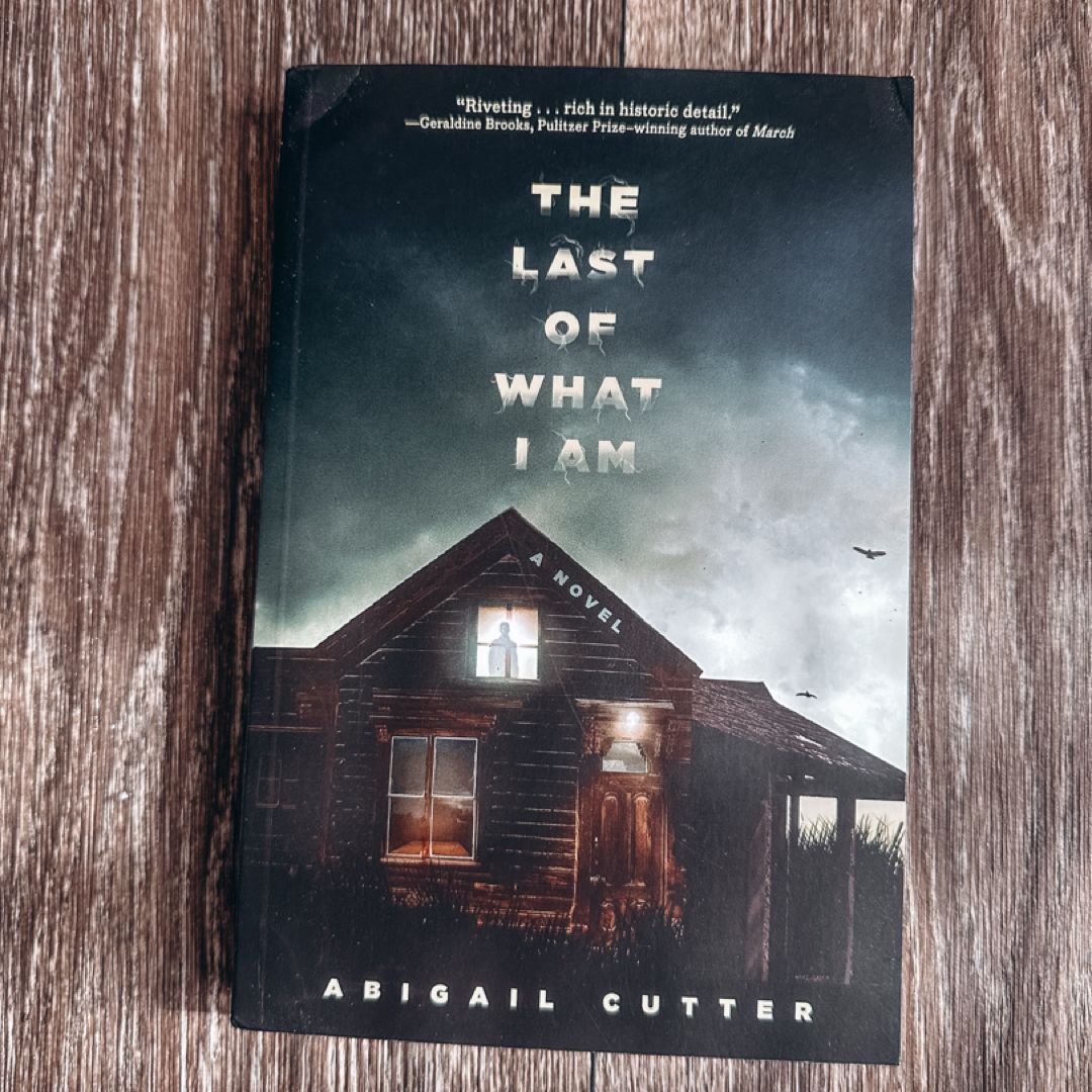 The Last of What I Am