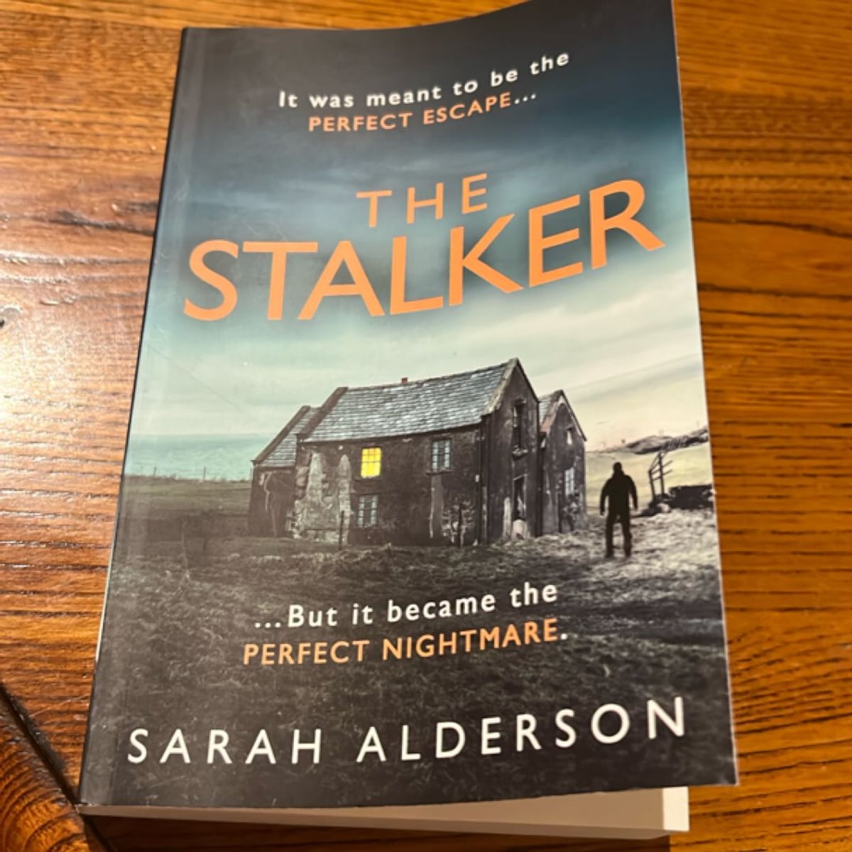 The Stalker by Sarah Alderson