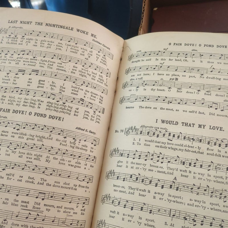 The school book songs