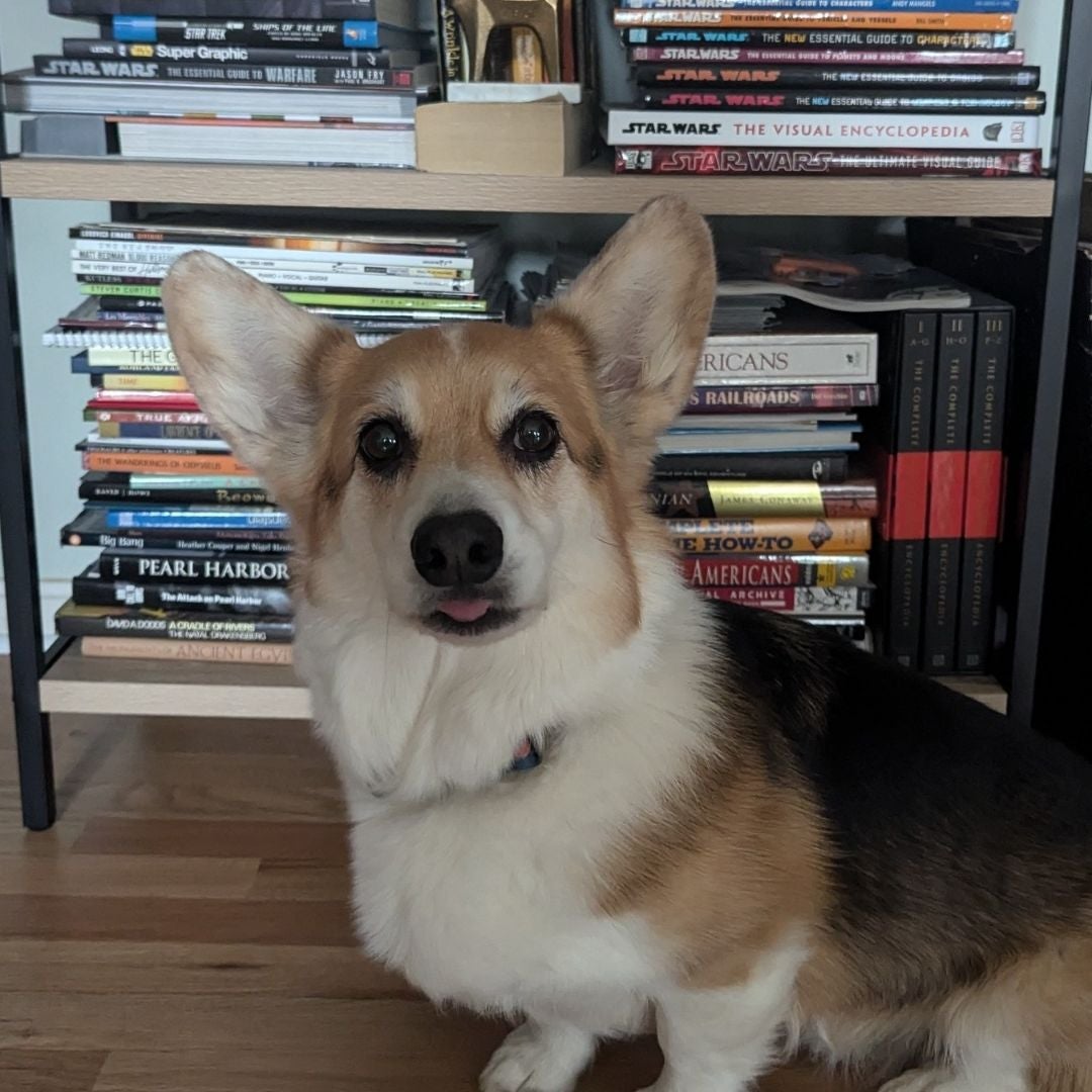 Christina's Bookshop