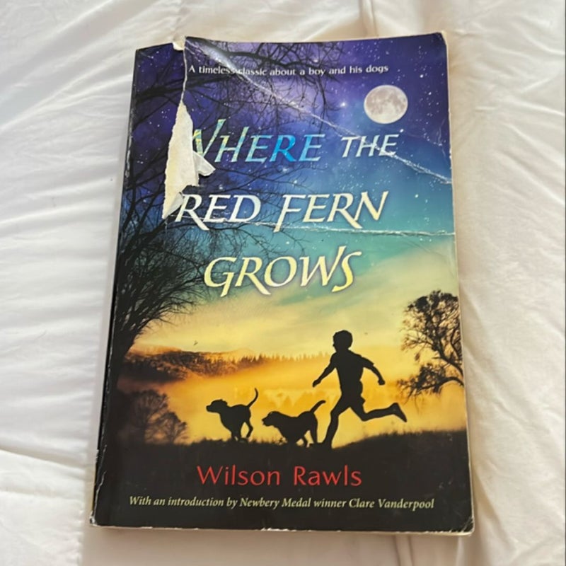 Where the Red Fern Grows