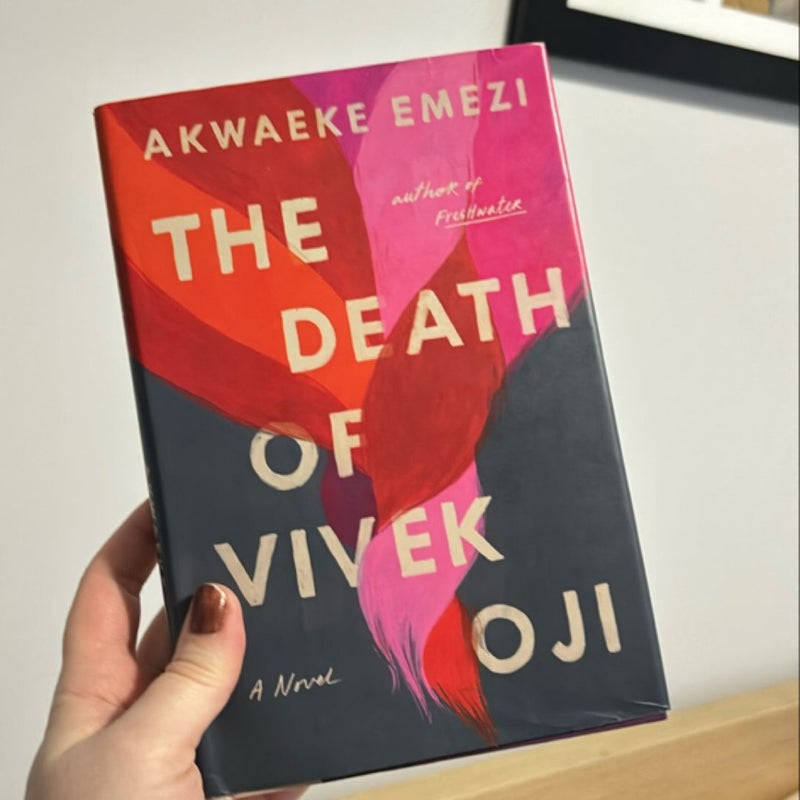 The Death of Vivek Oji