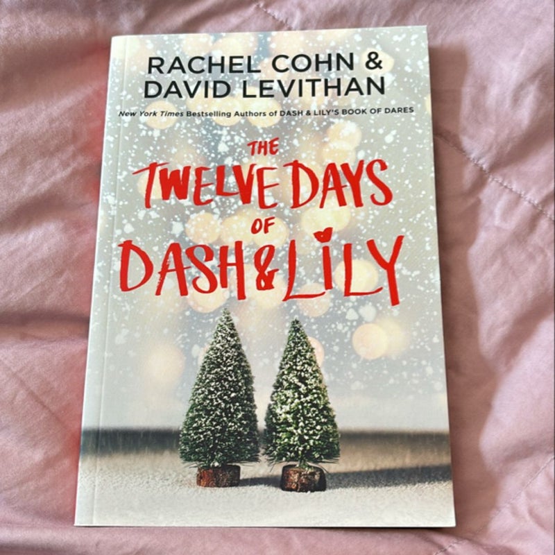 The Twelve Days of Dash and Lily