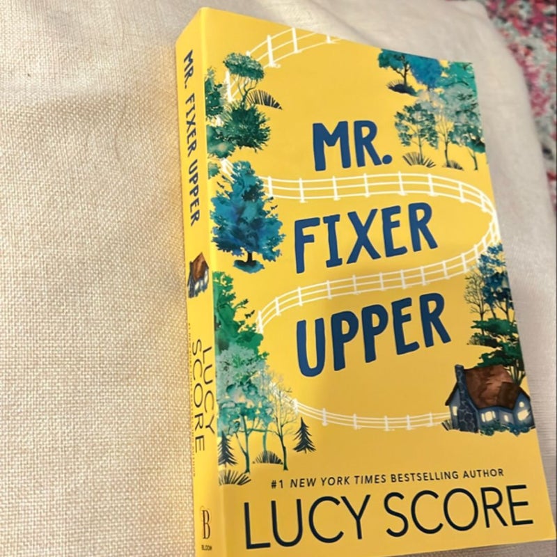Mr. Fixer Upper