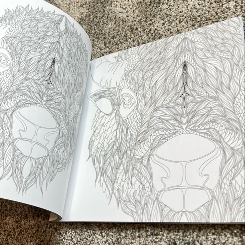 Animal Fantasy Coloring Book