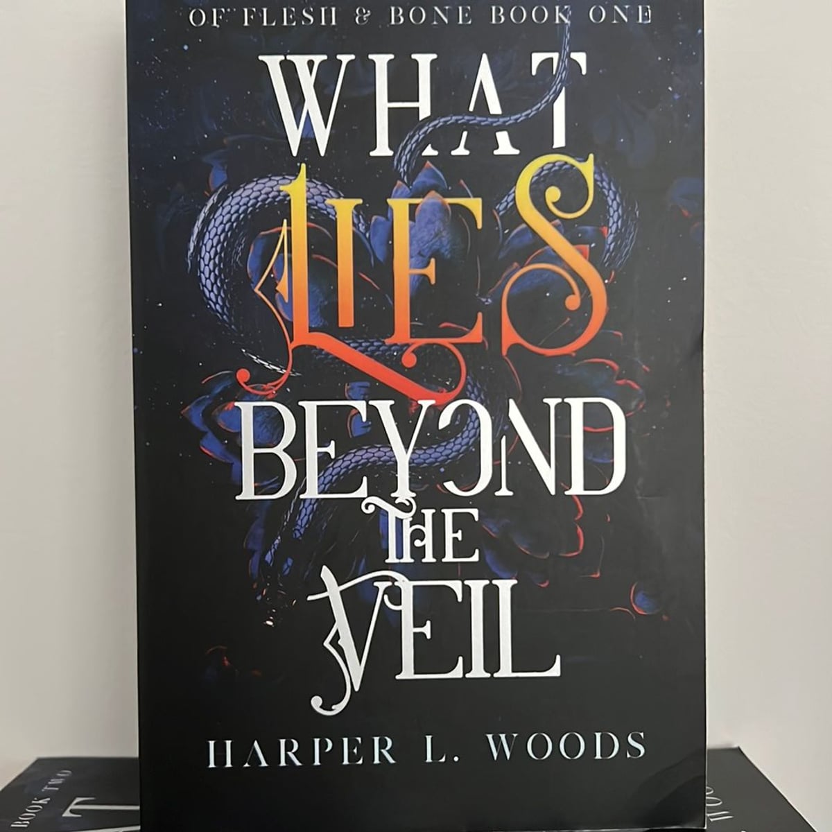 What Lies Beyond the Veil by Harper L. Woods, Paperback | Pangobooks