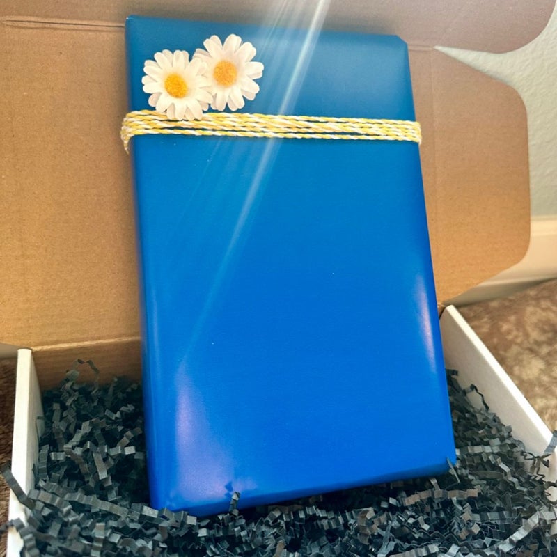Travel Romance *themed* Blind Date with a Book Box
