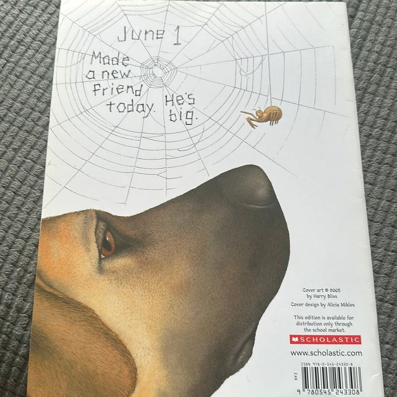 Diary of a Spider
