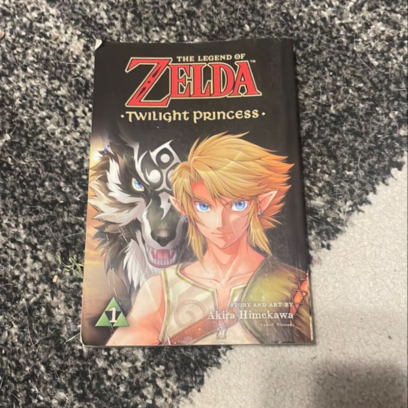 The Legend of Zelda: Twilight Princess, Vol. 1