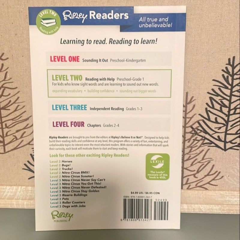 Ripley Readers LEVEL2 Trains!