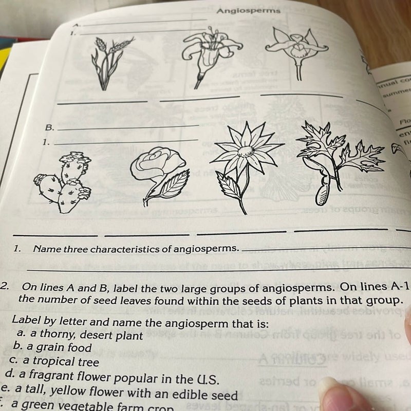 Plants- 20 activities